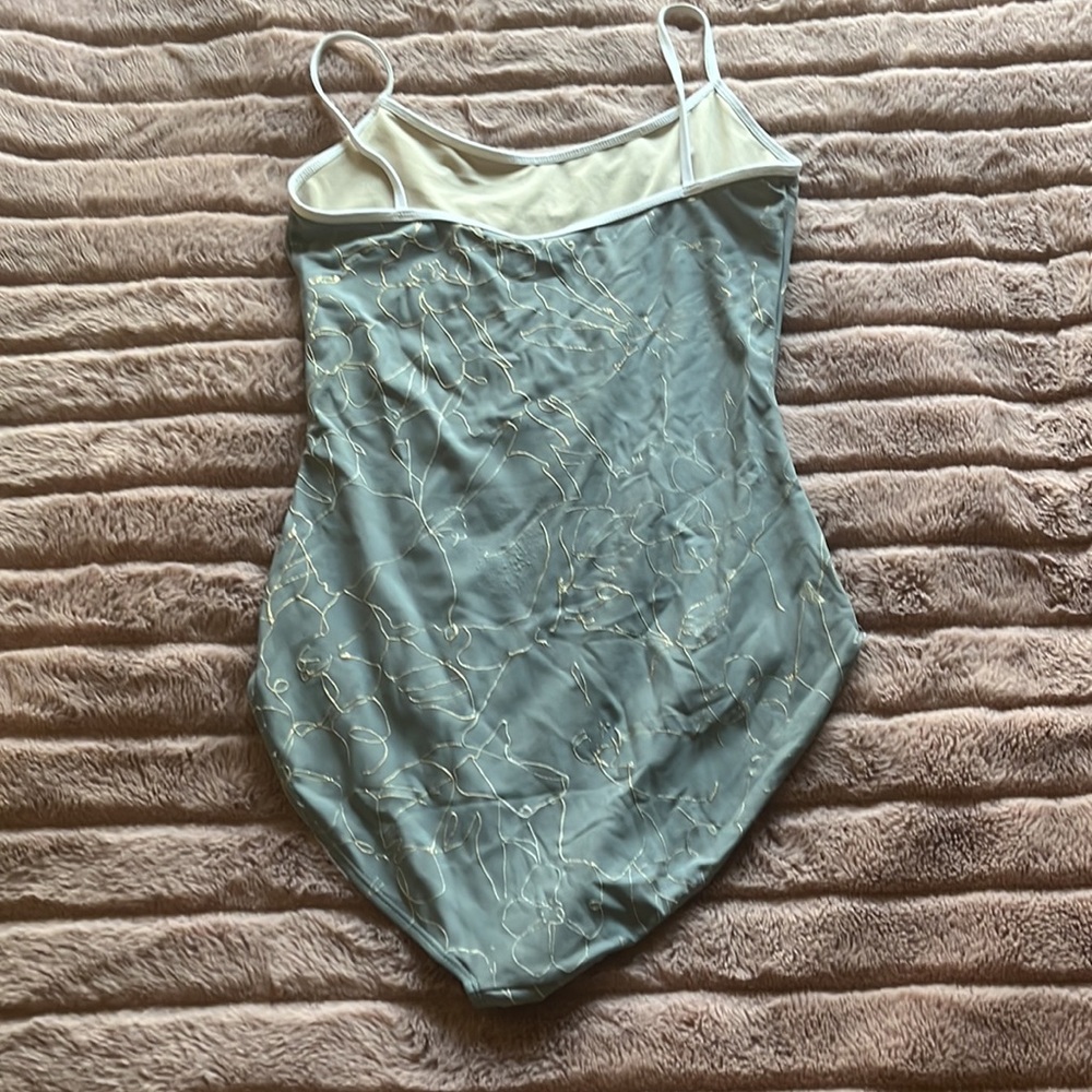 Class In Leotard - Picture 3 of 6